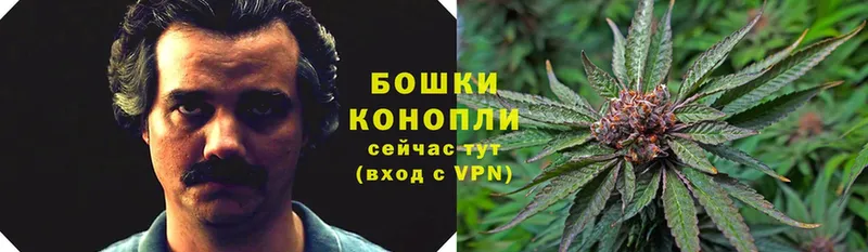 Бошки Шишки Bruce Banner  где найти   Губаха 